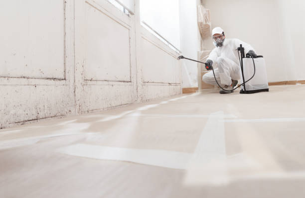 24/7 Emergency Commercial Mold Remediation experts in Somerset, MD
