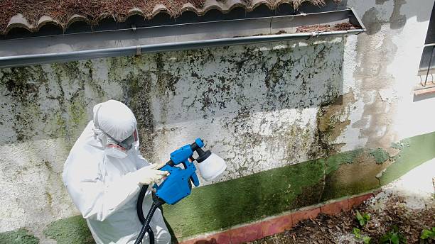Top rated local Commercial Mold Remediation specialists in Somerset, MD